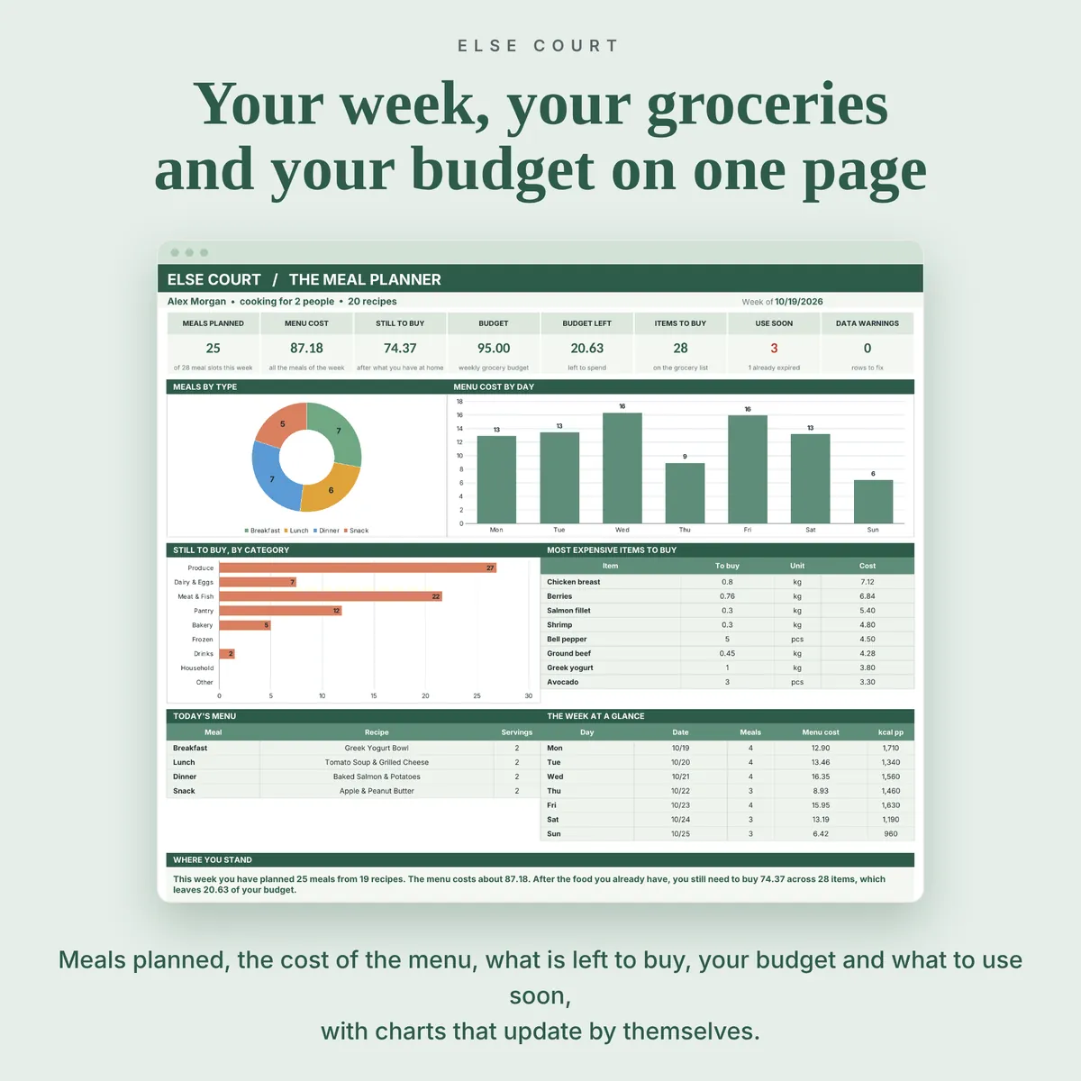Meal planner dashboard with 8 tiles (meals planned, menu cost, still to buy, budget, budget left, items to buy, use soon, data warnings), a ring of meals by type, menu cost by day, still to buy by category, the most expensive items, today's menu and the week at a glance.