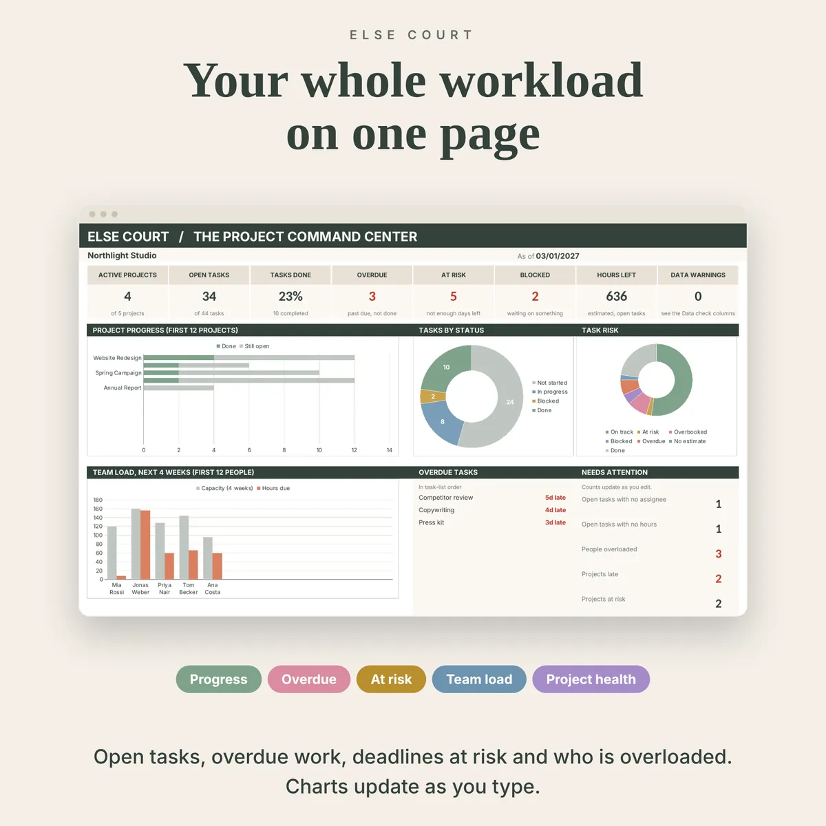 Project dashboard with 8 summary tiles and charts for project progress, tasks by status, task risk and team load next to four weeks of capacity, plus a list of overdue tasks and a Needs Attention panel.
