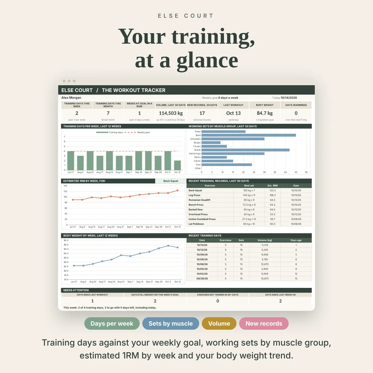 Workout dashboard with 8 summary tiles and charts for training days per week against a weekly goal, working sets by muscle group, estimated 1RM by week for a chosen exercise and body weight, plus recent personal records, recent training days and a needs attention panel.
